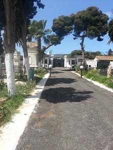 ORAN CIMETIERE DE THAMASHOUET (5)